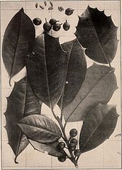 14782842204_eaee417787_m